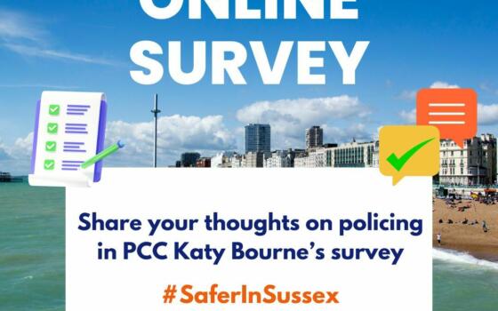 BH online PCC survey