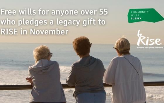 RISE Community Wills Month